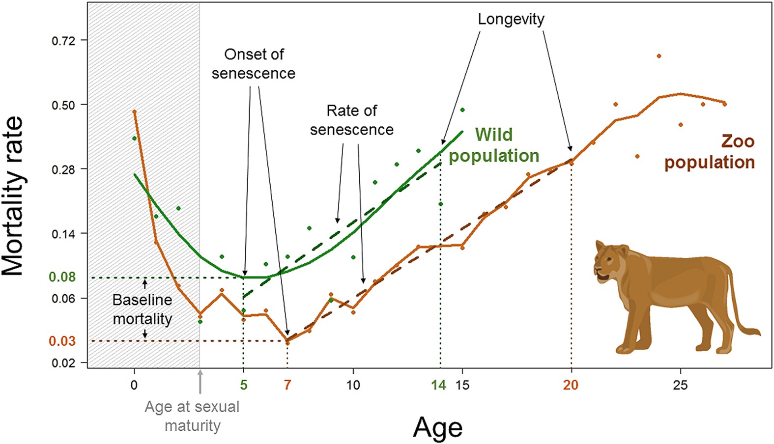 Zoo Data Machine Learning Project